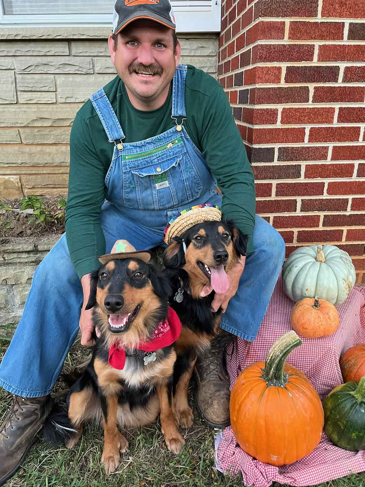 Tipper and Annie - Black and Tan English Shepherd
