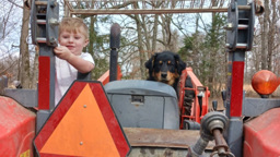 Thor - Black and Tan English Shepherd