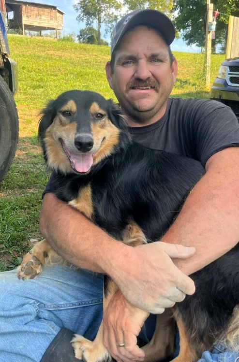 Jenny - Black and Tan English Shepherd