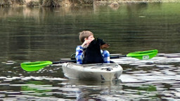 Jacob & Sheba - Black and Tan English Shepherd