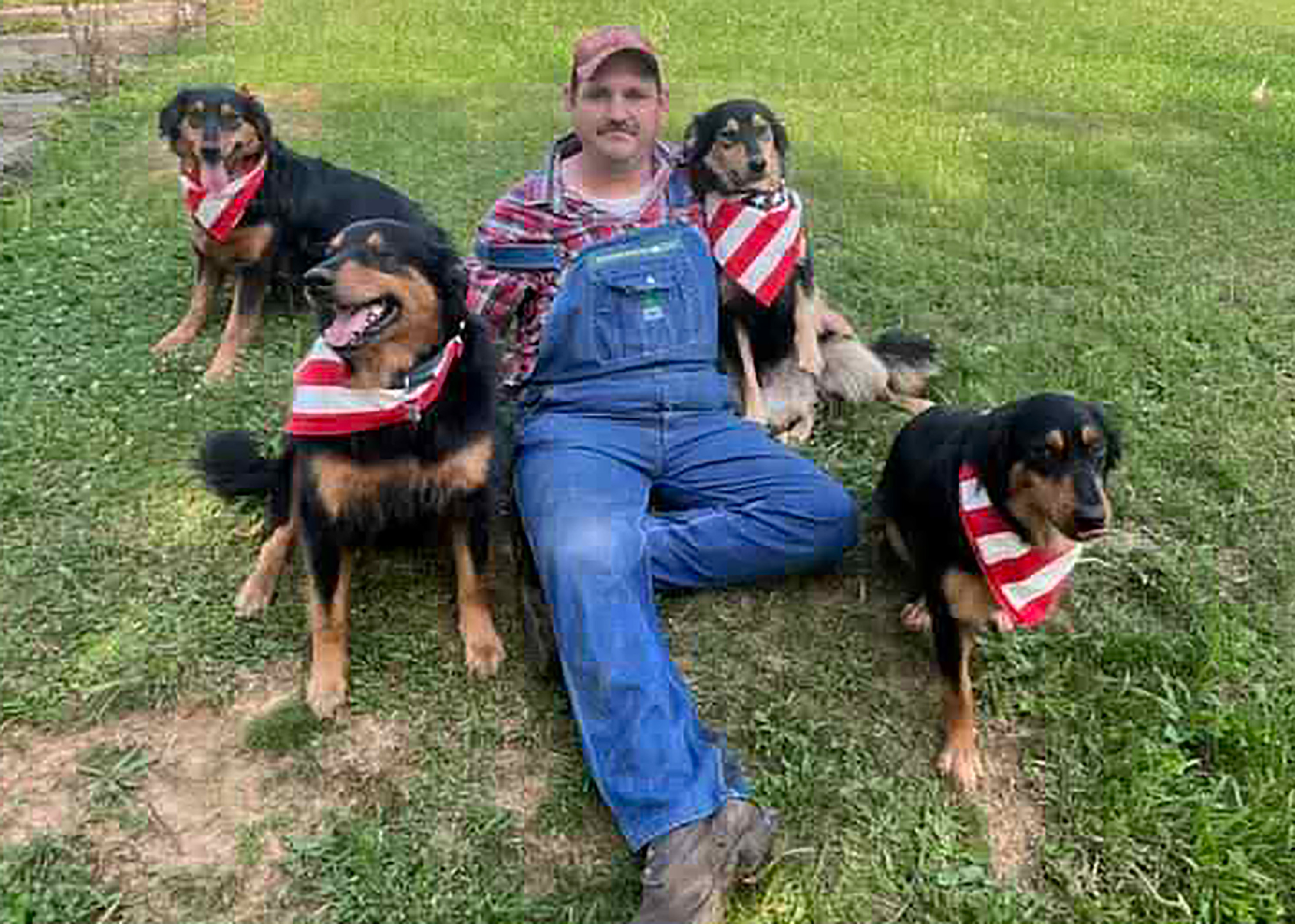 Annie, Bandit, Jenny, Tipper - Black and Tan English Shepherd