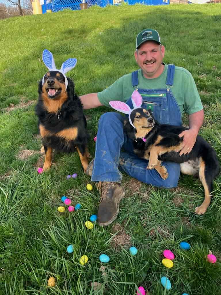 Bandit and Jenny - Black and Tan English Shepherd